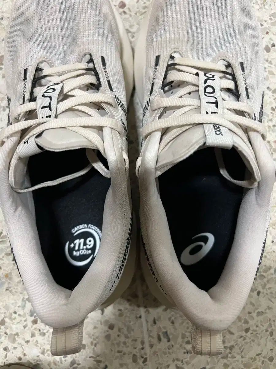 アシックス ノヴァブラスト5 270