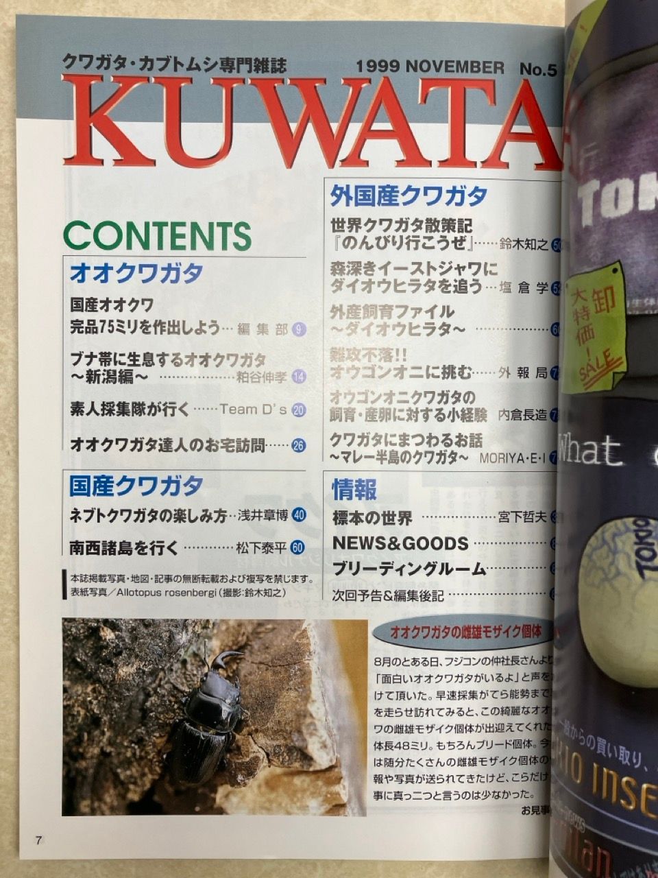 クワガタ・カブトムシ専門雑誌 KUWATA 1999年11月号 No.5 難攻不落