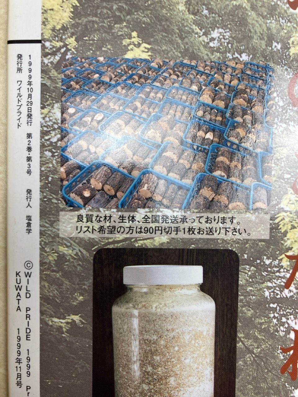 クワガタ・カブトムシ専門雑誌 KUWATA 1999年11月号 No.5 難攻不落