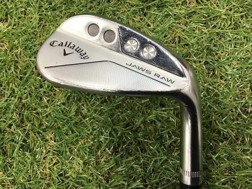 RYOMA 軽量タイプ ゴルフバッグ ホワイト RYOMA 軽量タイプ ゴルフバッグ 購入 ホワイト