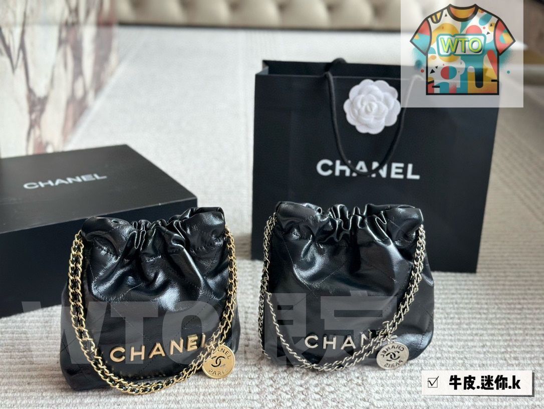 今日 Chanel Mini 22 Bag ミニツツバッグ サイズ 20 cm WTO輸入4