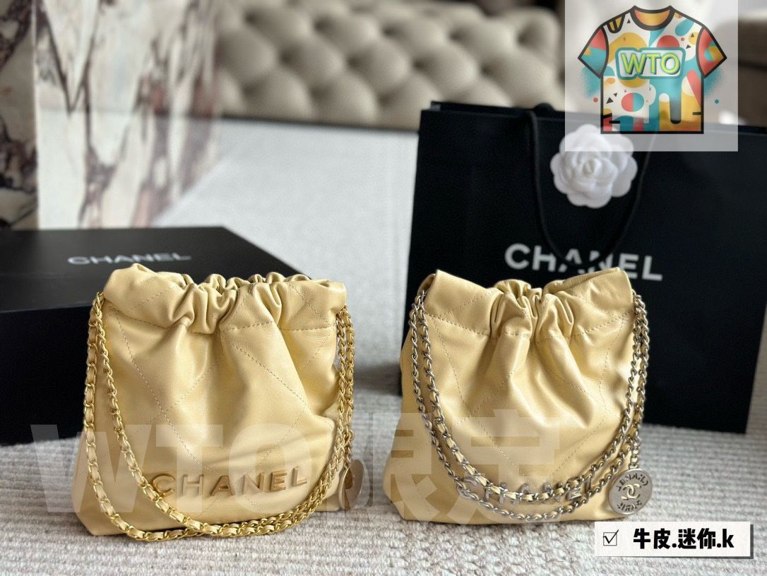 Chanel Mini