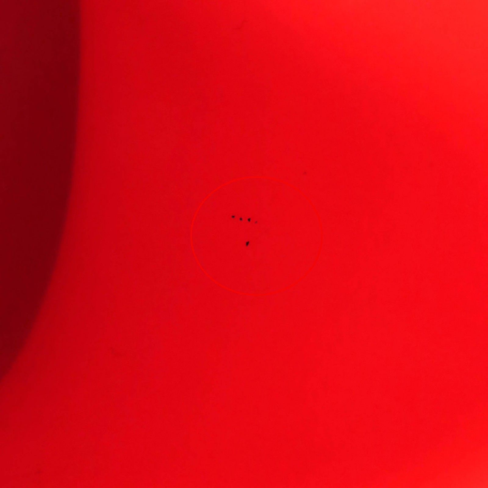 テラフォームクロッグ