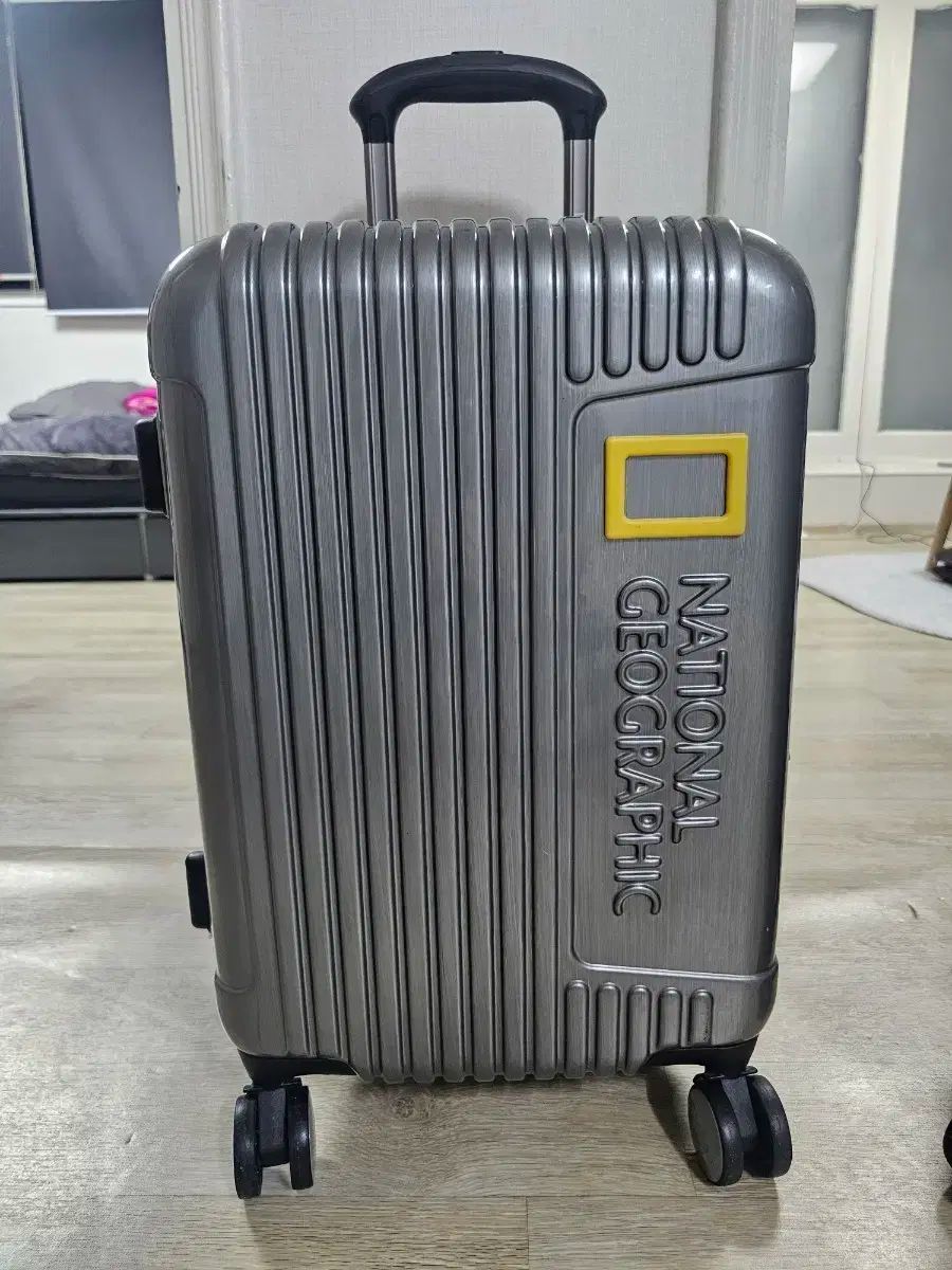 ナショナルジオグラフィック キャリアー 20インチ NG n6501z チタンシルバー