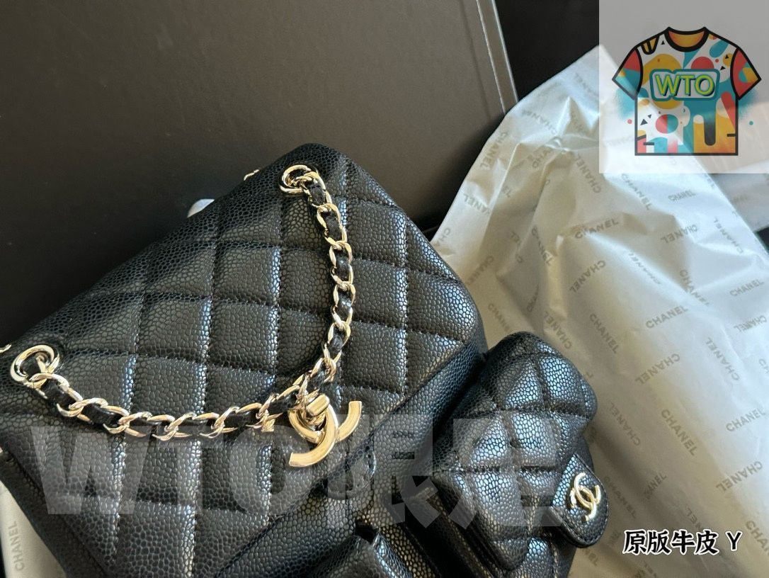WTO通販 Chanel Duma Frog Backpack - シャネル デュマ フロッグ バックパック1-WTO輸入-OLC17