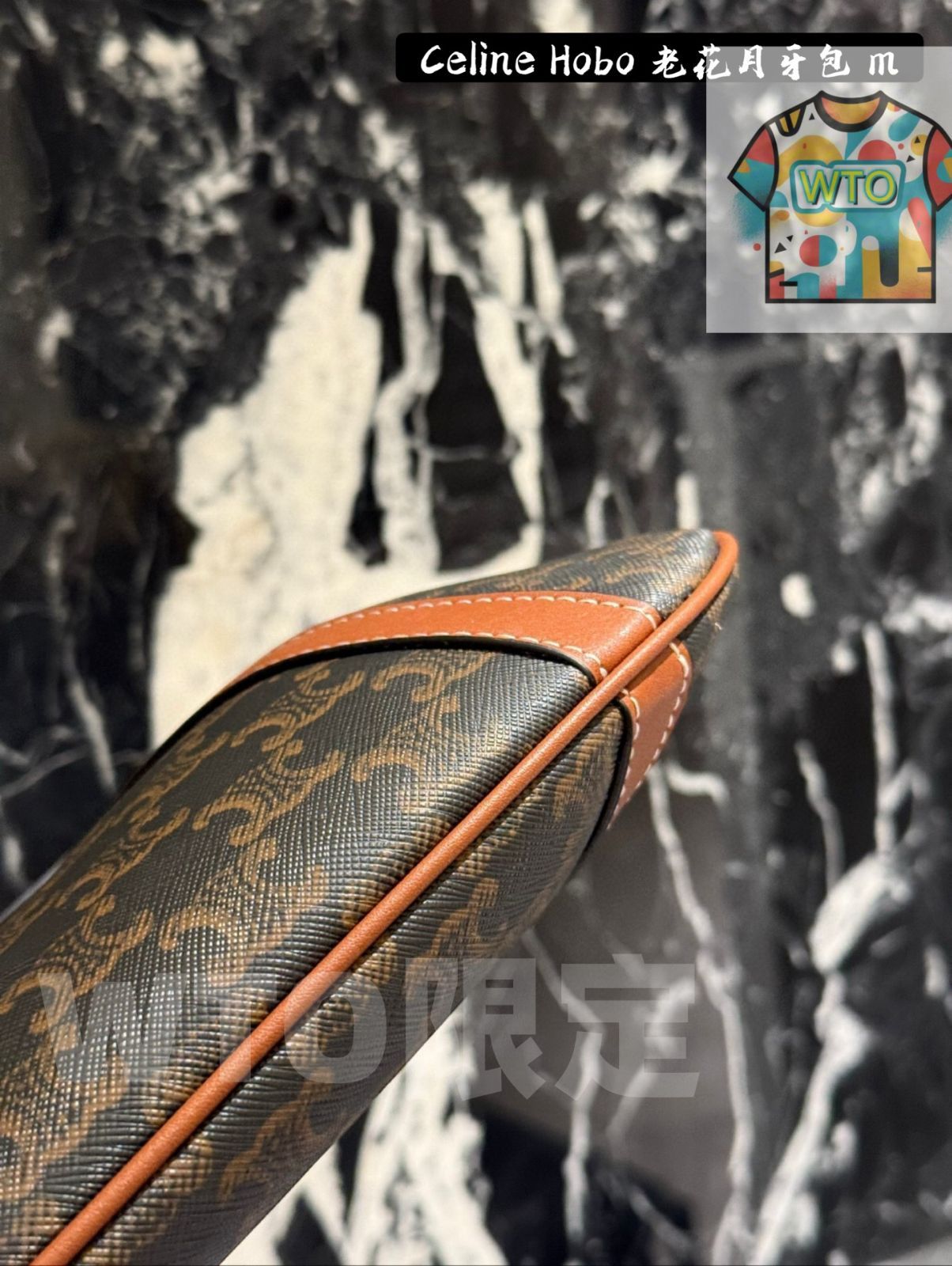  WTO通販 CELINE HOBO Logo Stripe Bag - セリーヌ ホボ ロゴ ストライプ バッグ1-WTO輸入-DTE 80 ハンドバッグ バッグ