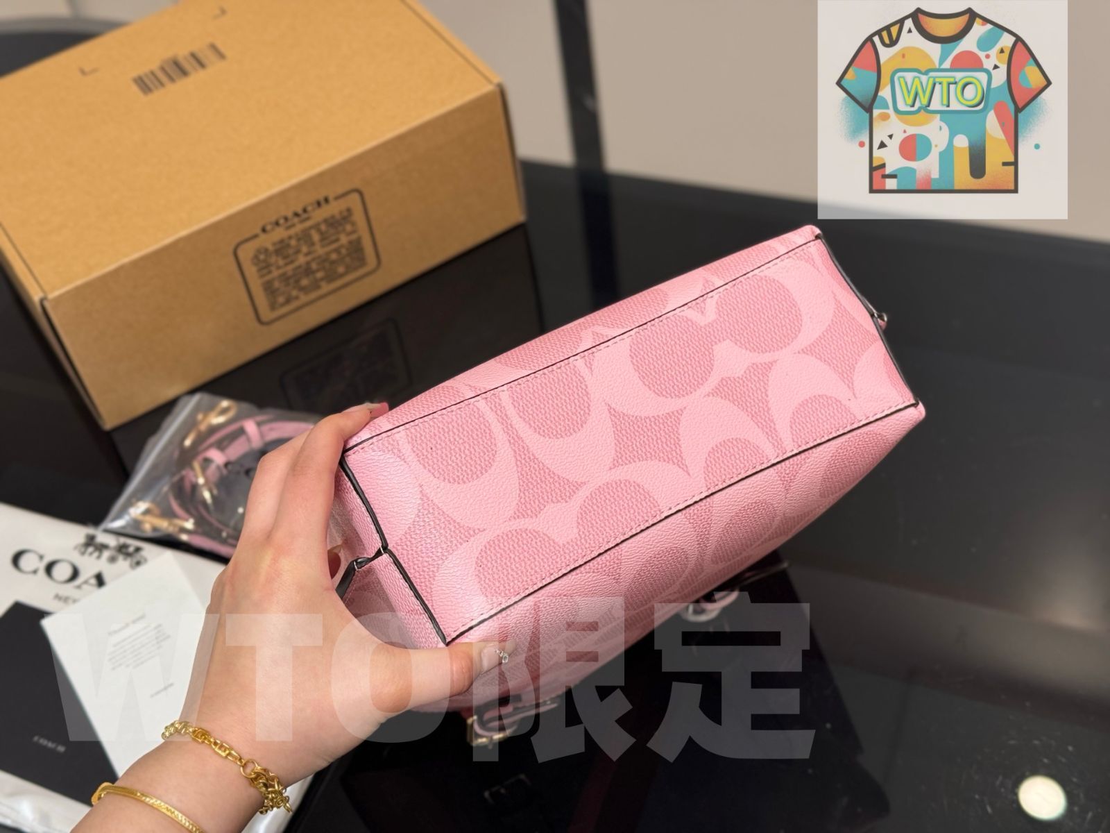 今日 Coach Mollie Tote ミニ コーチ モリー トート ミニ