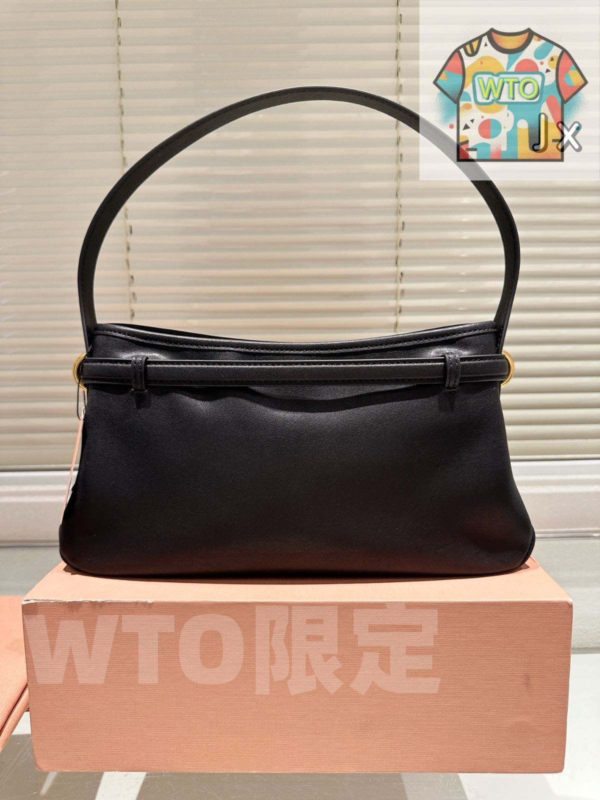 今日 Miu Miu Aventure Nappa アームポーチ