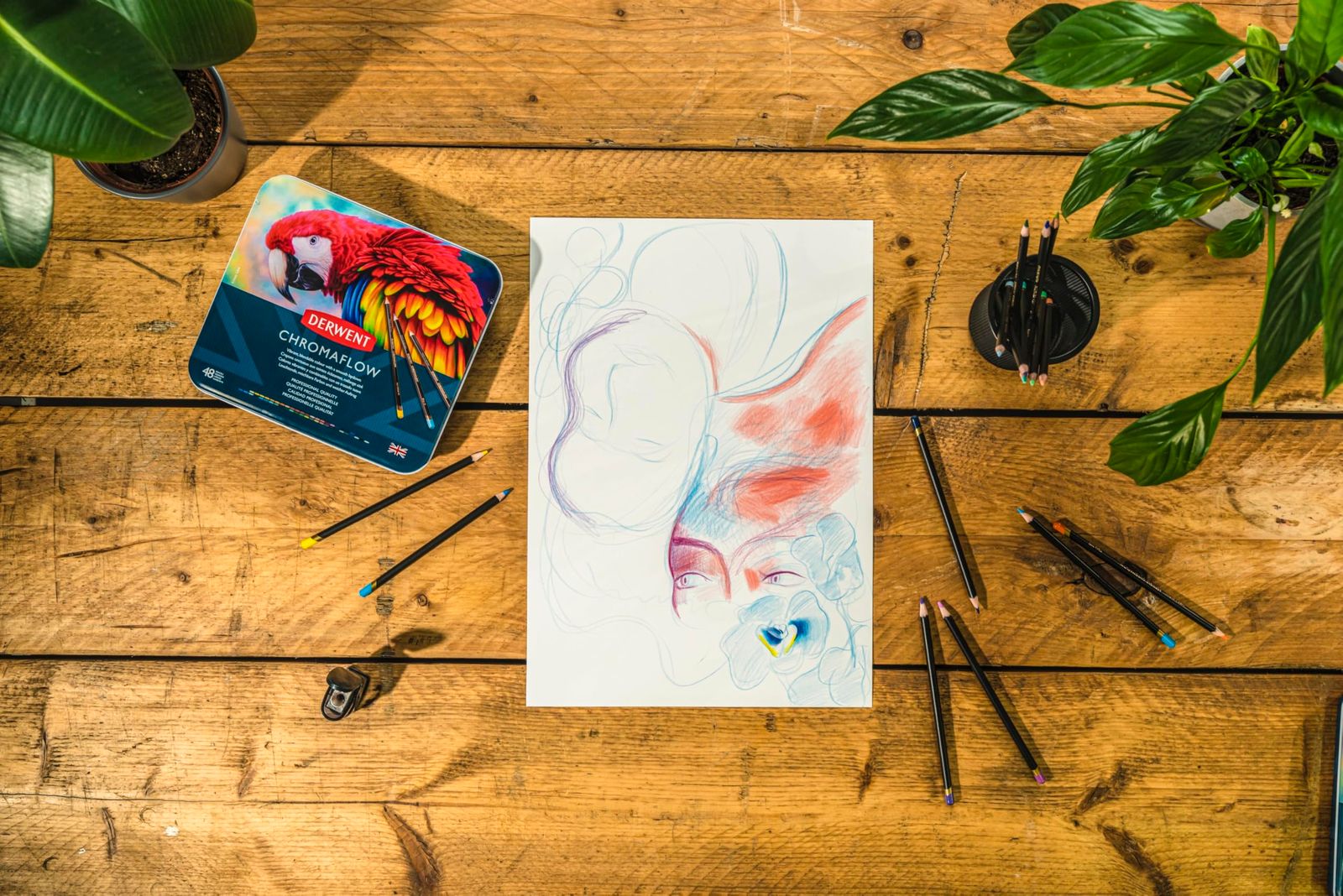 クロマフロー 48色セット