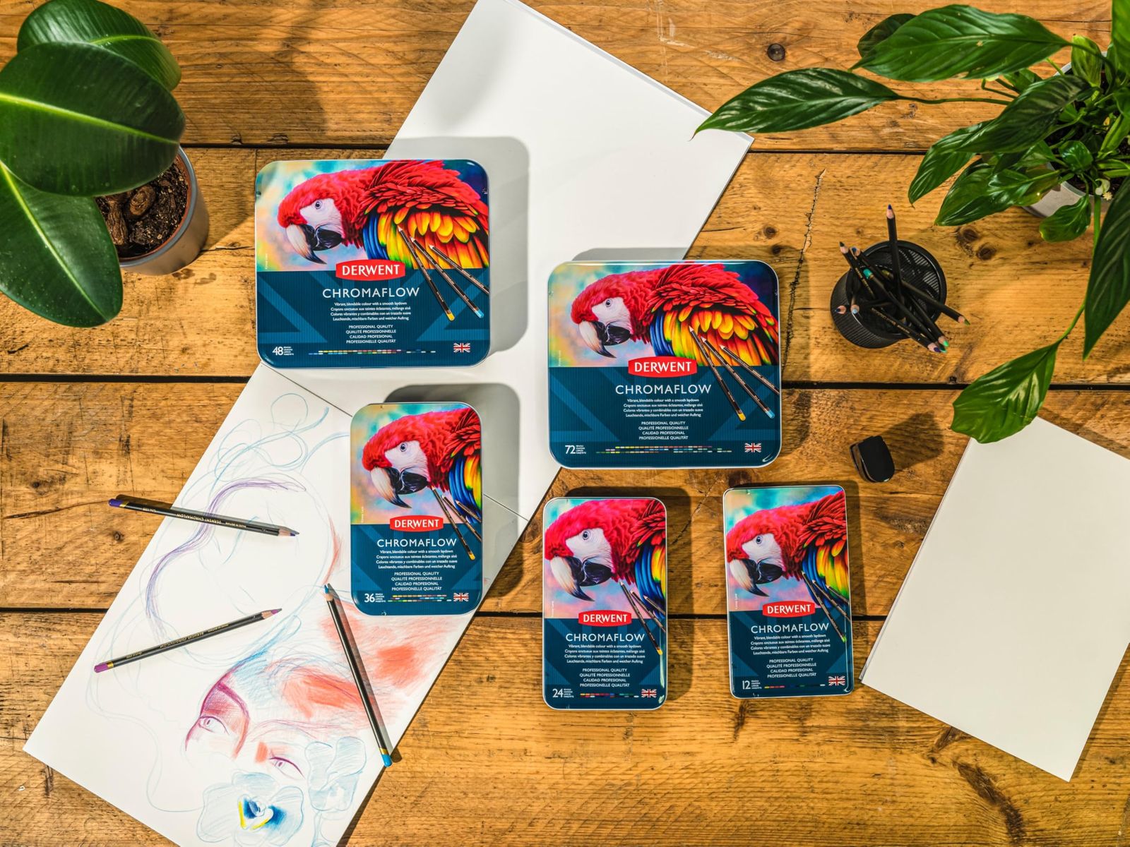 Derwent ダーウェント 油性色鉛筆 クロマフロー 48色セット 2306013