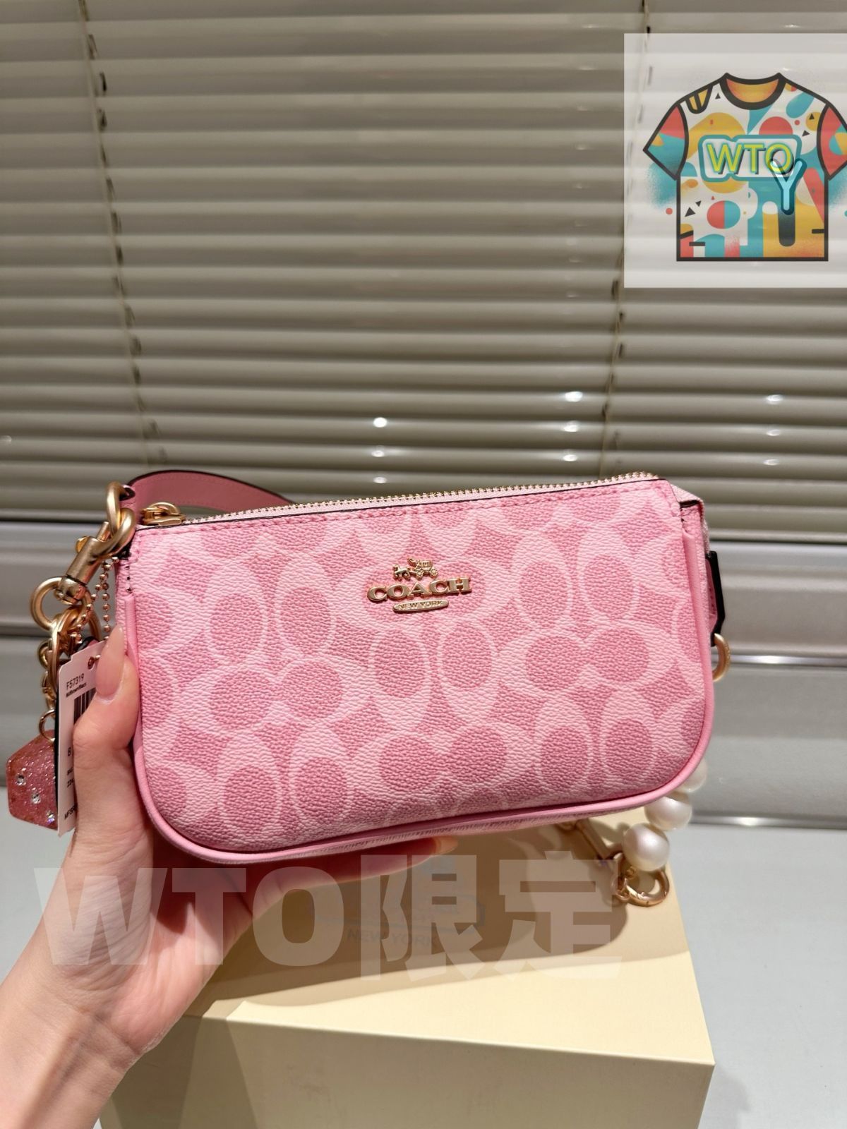 今日 Coach Nolita 19 Swinger Bag コーチ ノリタ 19 スインガー バッグ