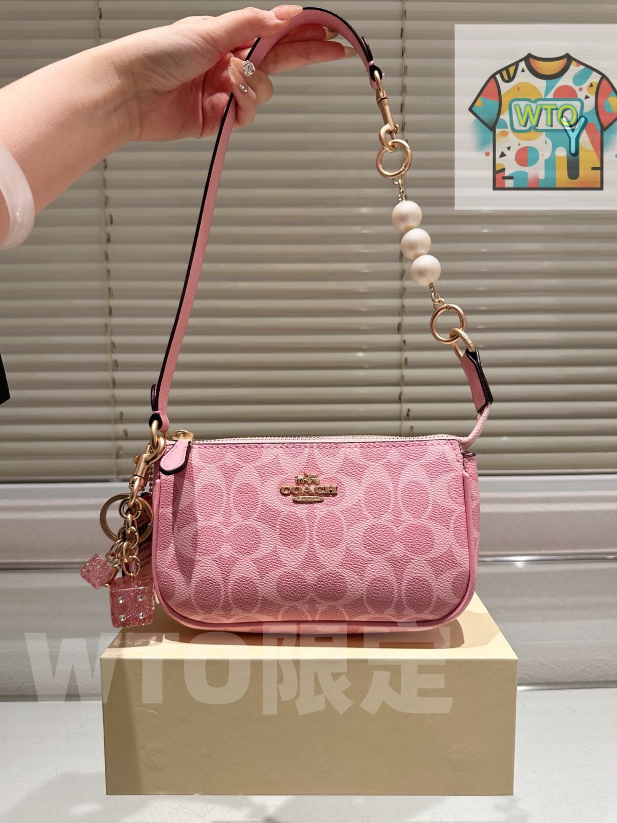 今日 Coach Nolita 19 Swinger Bag コーチ ノリタ スインガー バッグ