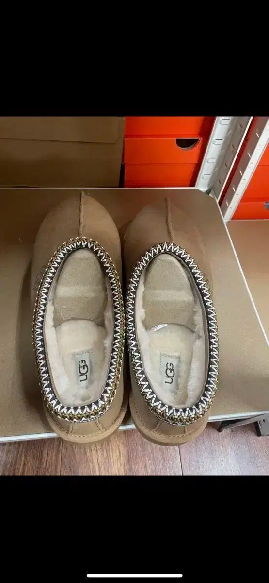 アグ タスマン 5950 チェスナット us13 ODELLYA_COM