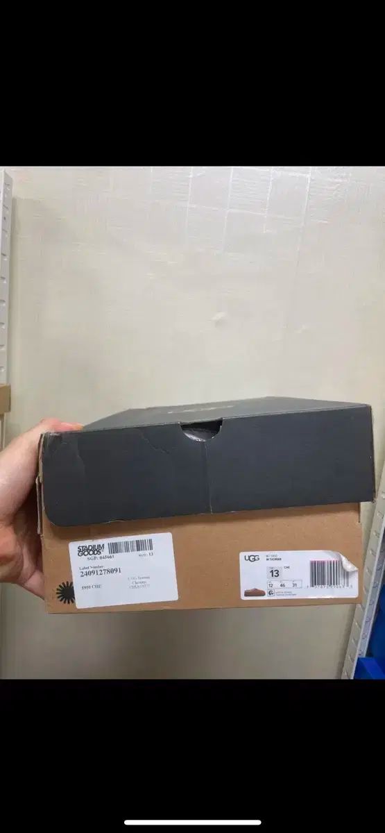 5950 チェスナット