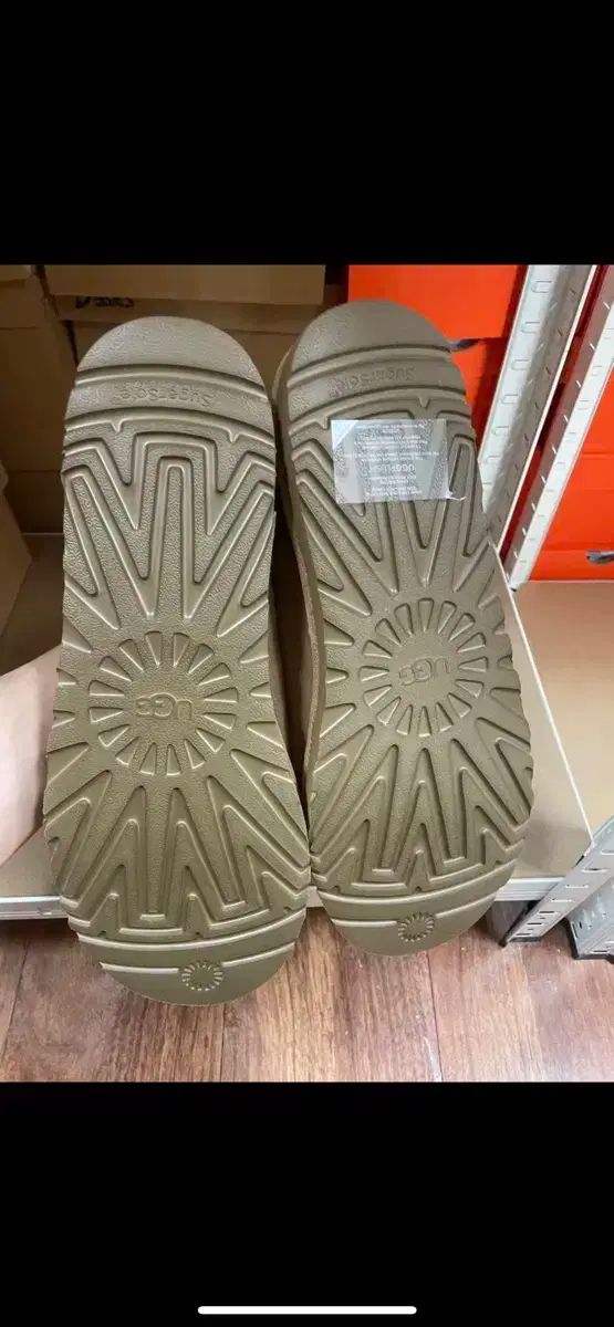 アグ タスマン 5950 チェスナット us13