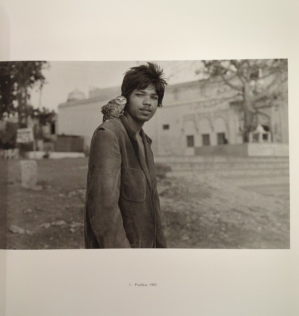 インドは魂を奪う 函付