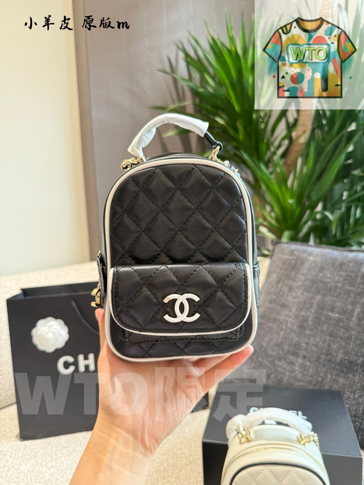  今日 Chanel Panda Color Multi-Function Mini Backpack シャネル パンダ マルチファンクション ミニバックパック ハンドバッグ バッグ
