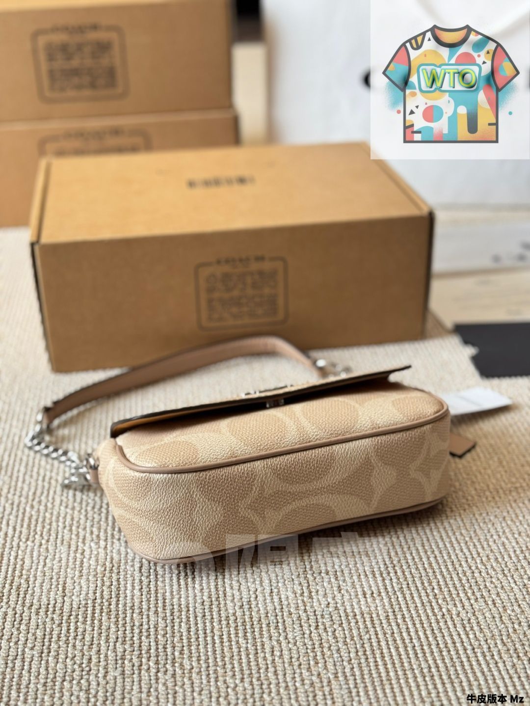 今日 Coach Hailey Mini Baguette Envelope Bag - コーチ ヘイリー ミニ バゲット エンベロープ バッグ-WTO輸入2 GINKGOPHARMACY_COM