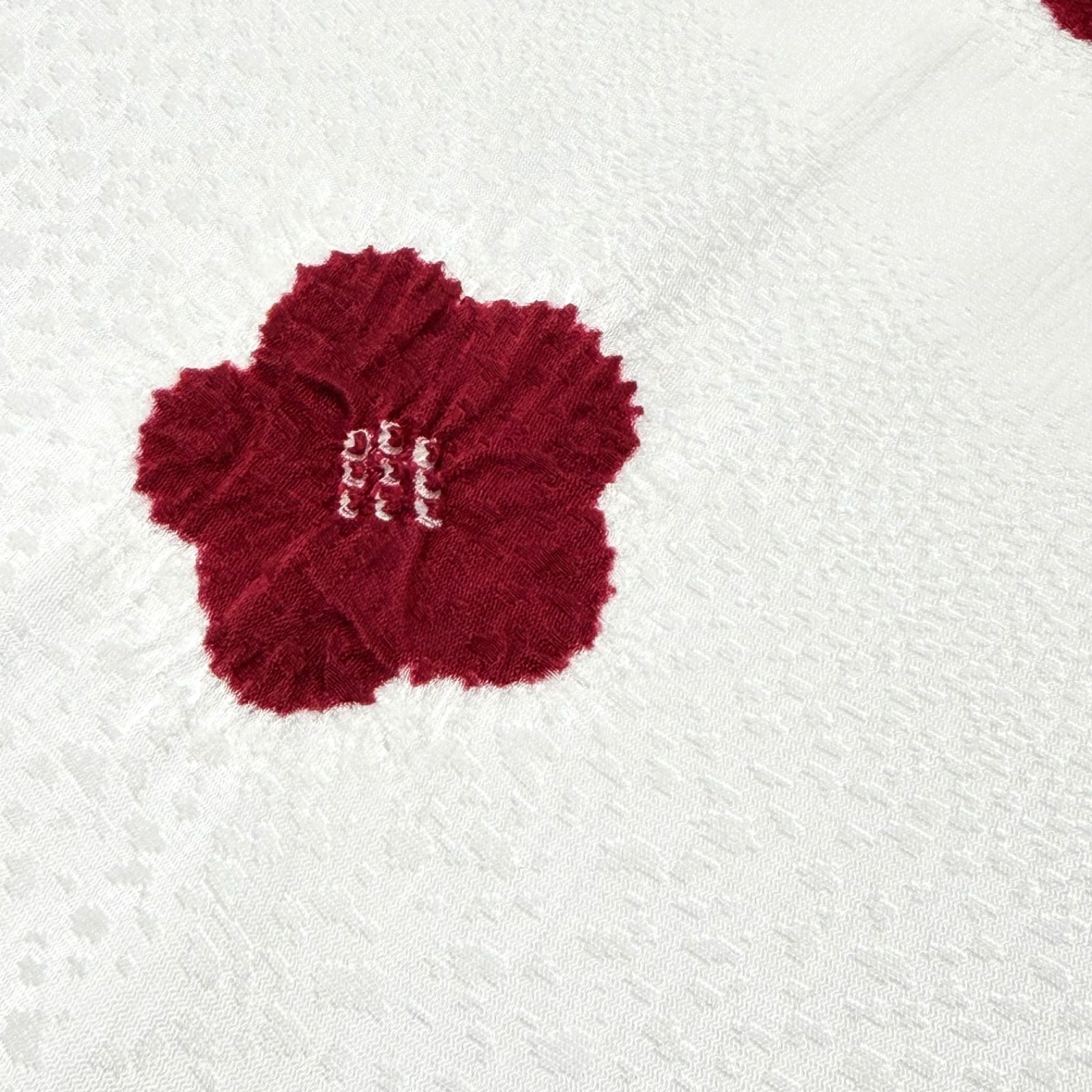 和想庵 梅輪出し