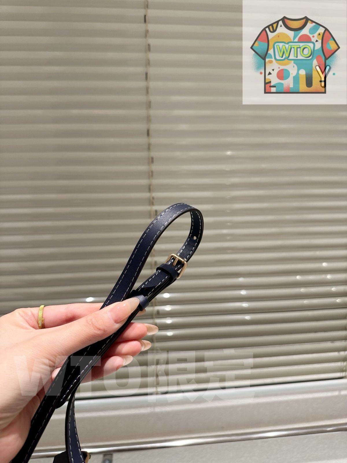 WTO通販 Coach Mini Rowan ミニローエン ピローバッグ-WTO輸入-JID26 GINKGOPHARMACY_COM