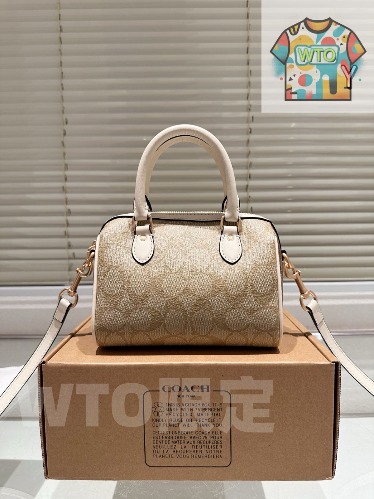 WTO通販 Coach Mini Rowan ミニローエン ピローバッグ-WTO輸入-PPZ16