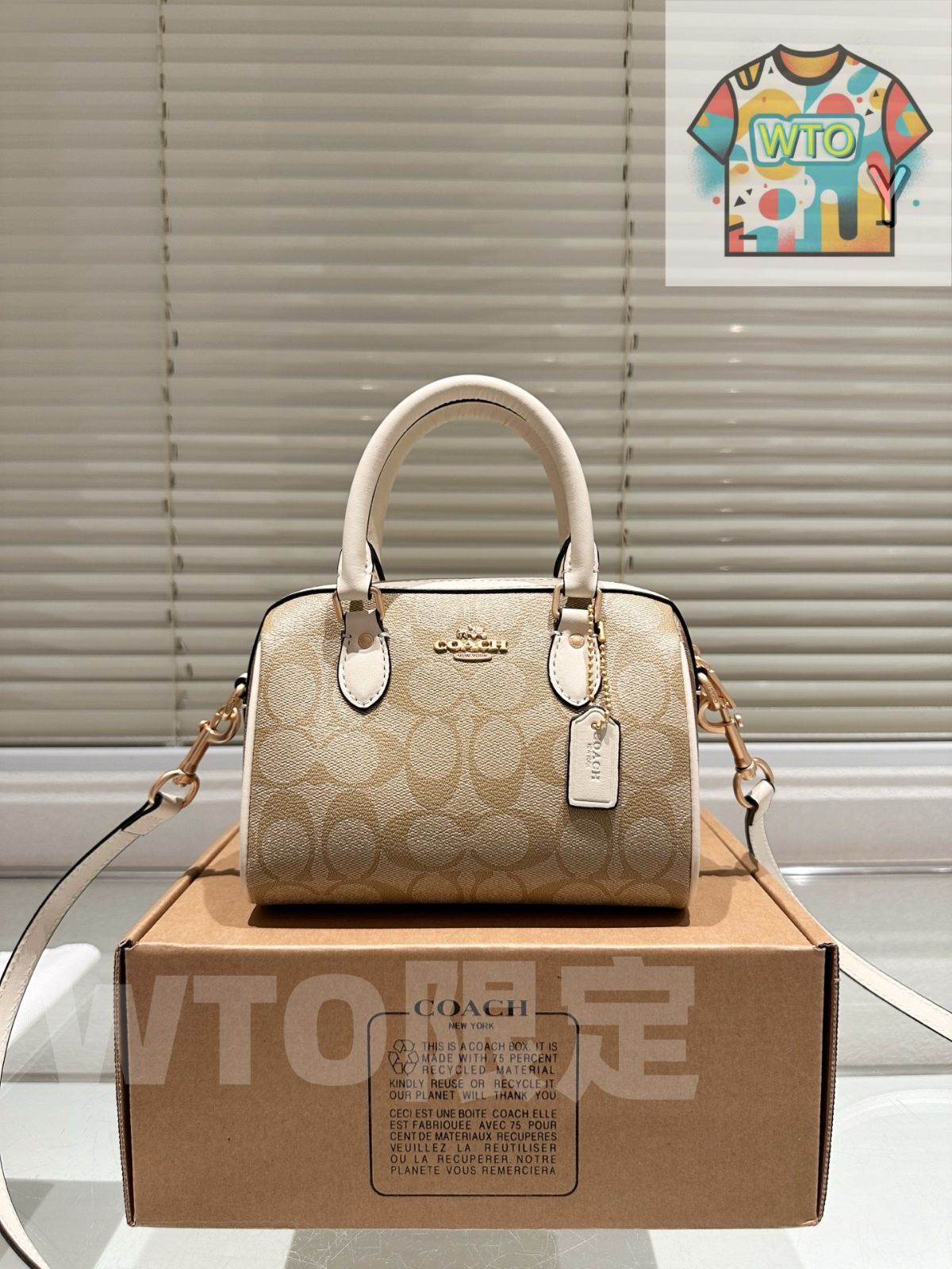 WTO通販 Coach Mini Rowan ミニローエン ピローバッグ-WTO輸入-PPZ16