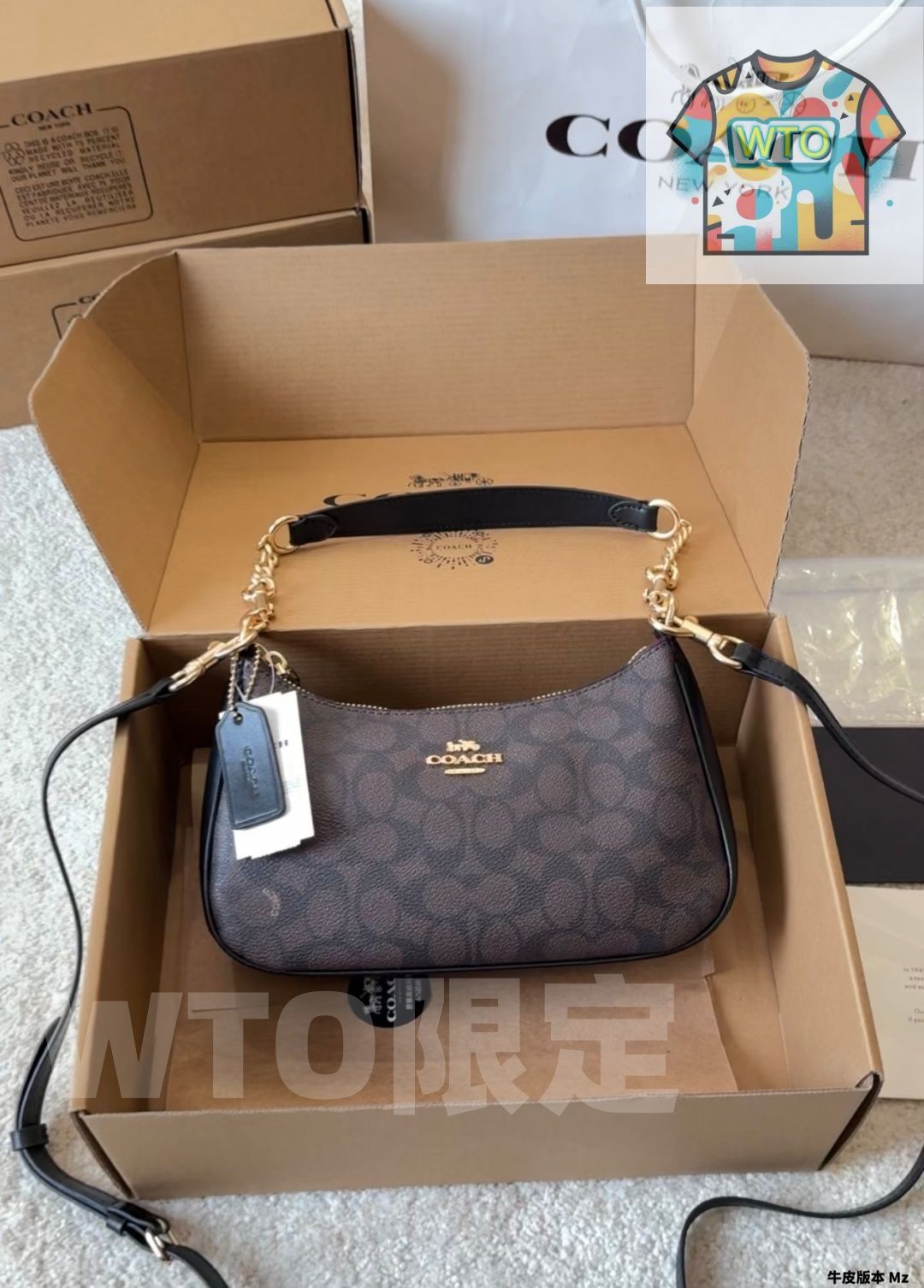 WTO通販 COACH Teri シリーズ アンダーアームバッグ 24×13cm サザエスキンプレス-WTO輸入-HIX60