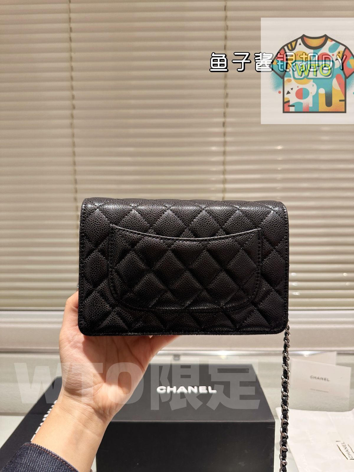  WTO通販 CHANEL フィッシュローン ウォレットオンチェーン WOC クラゲタン ミニバッグ-WTO輸入-INX 28 ショルダーバッグ ショルダーバッグ