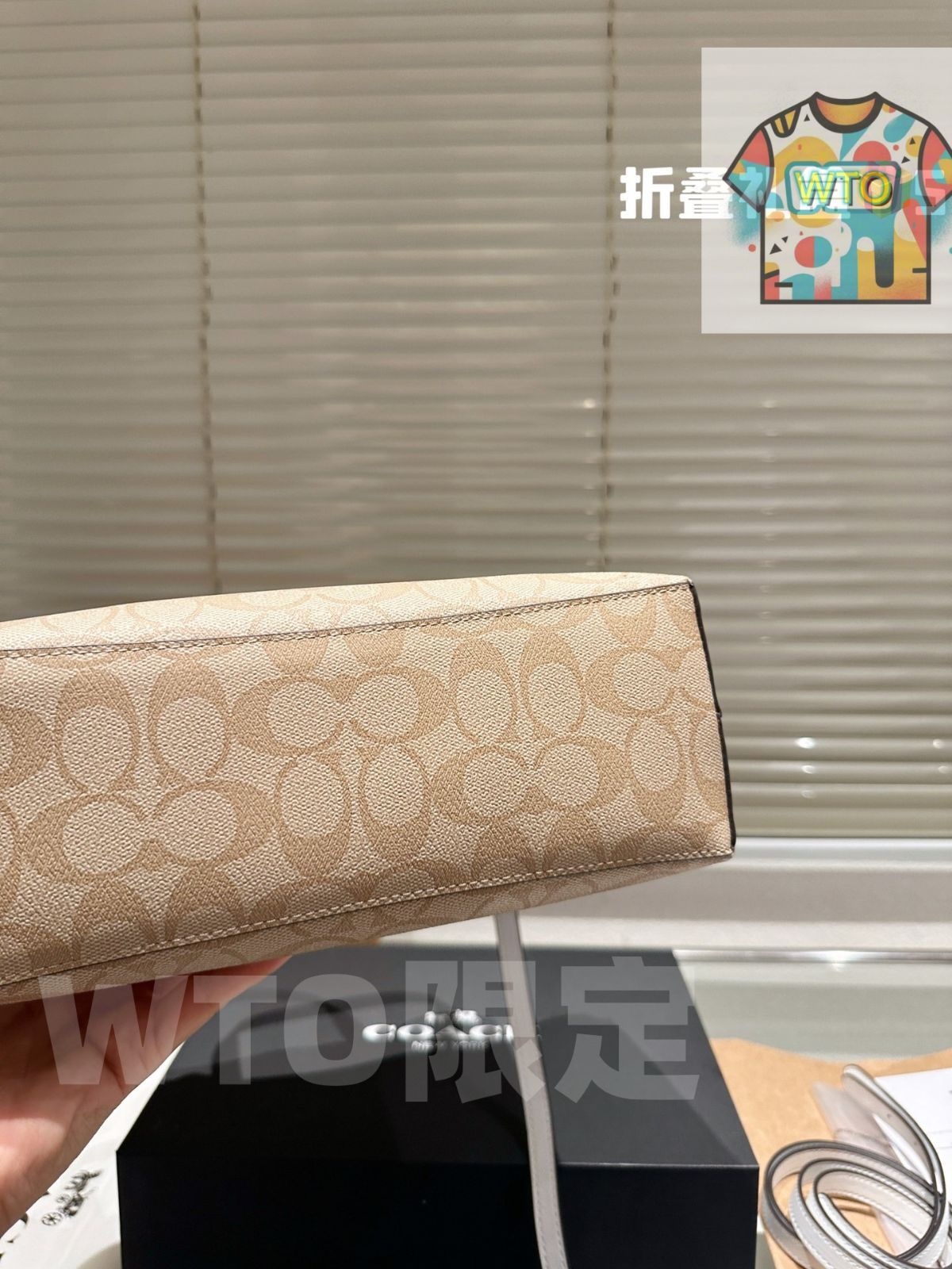  WTO通販 COACH Mollie 25 トートバッグ スーパーポピュラーショッピングバッグ-WTO輸入-JXK 41 ショルダーバッグ ショルダーバッグ