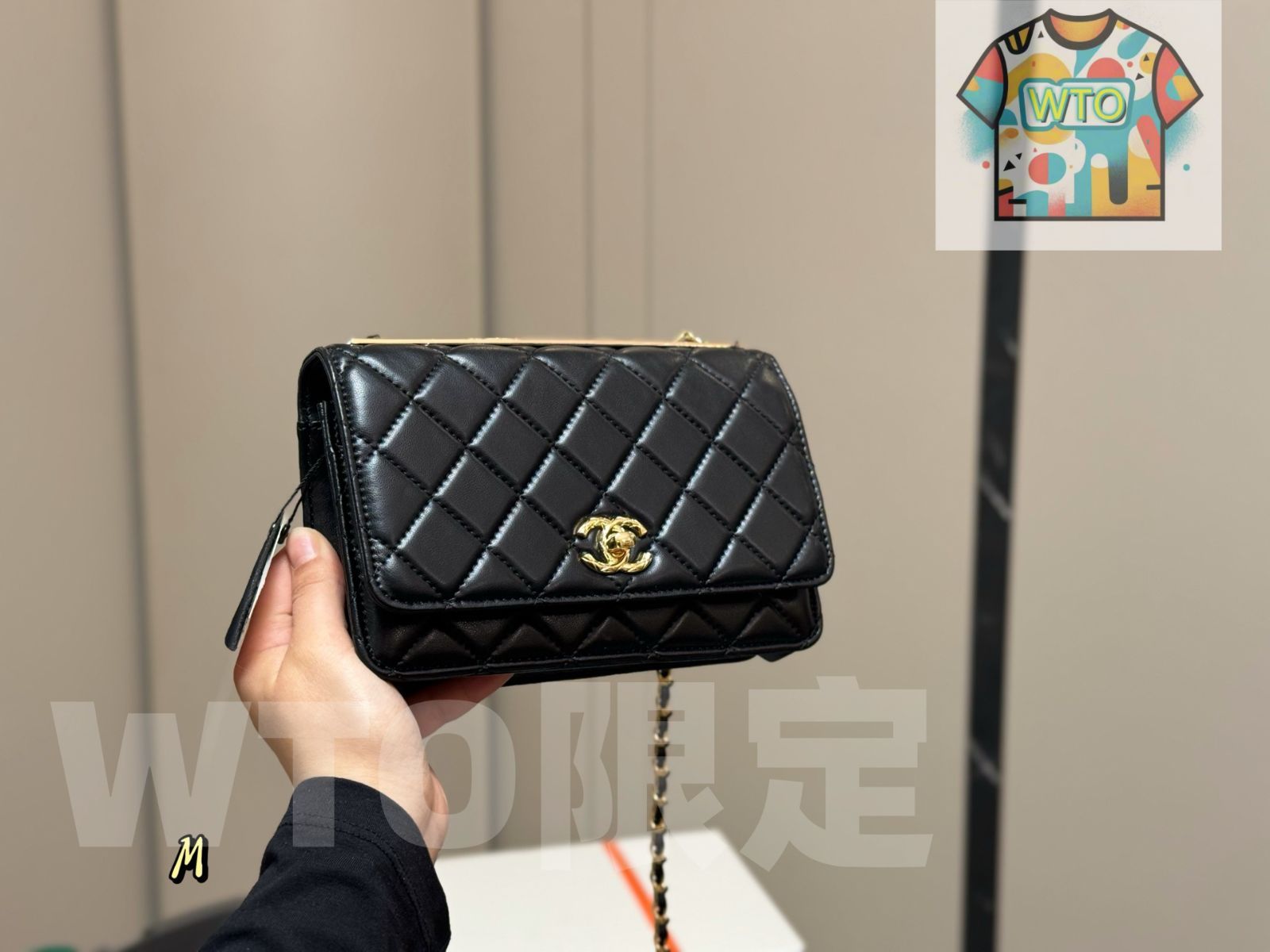 WTO通販 Chanel Trendy CC WOC バッグ 19×12cm-WTO輸入-NOZ67