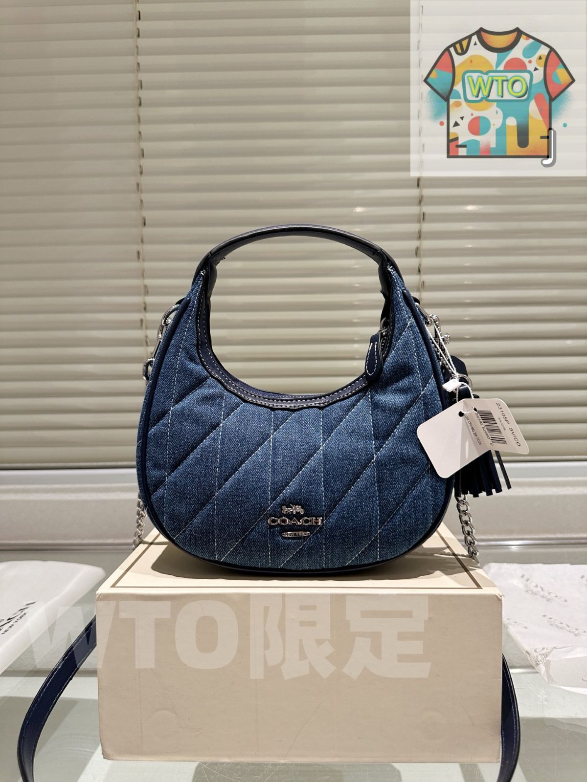 WTO通販 Coach ムーンバッグ チェーンバッグ 21×19cm-WTO輸入-MMF53