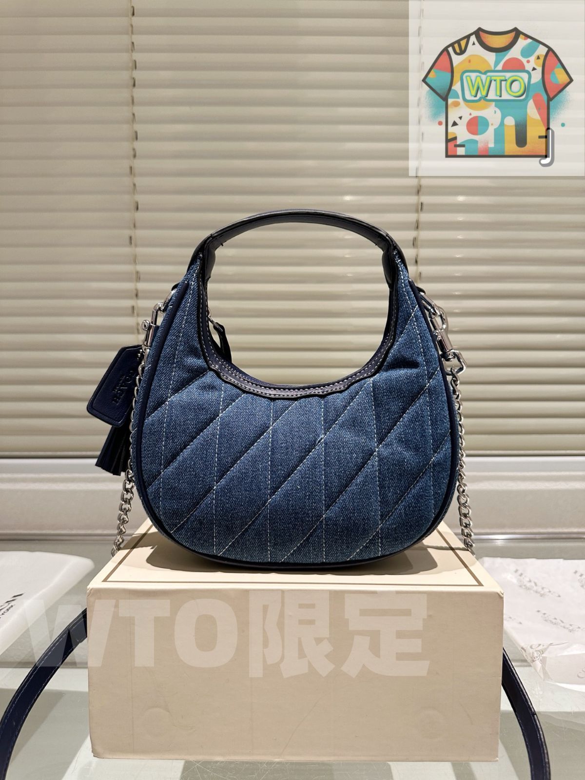 WTO通販 Coach ムーンバッグ チェーンバッグ 21×19cm-WTO輸入-MMF53