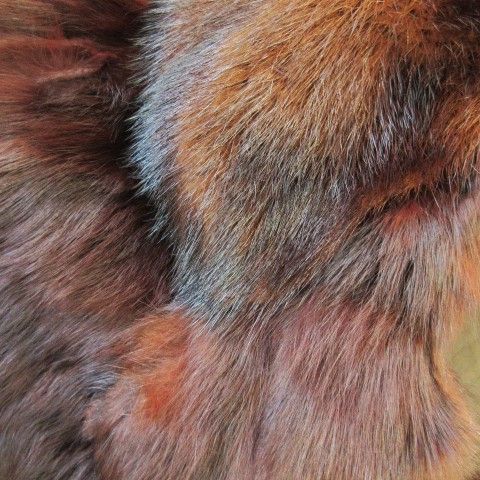 毛皮 定価¥199,500 新品未使用 ラム ファー sprung freres 毛皮 定価¥199,500 新品未使用 ラム ファー sprung freres