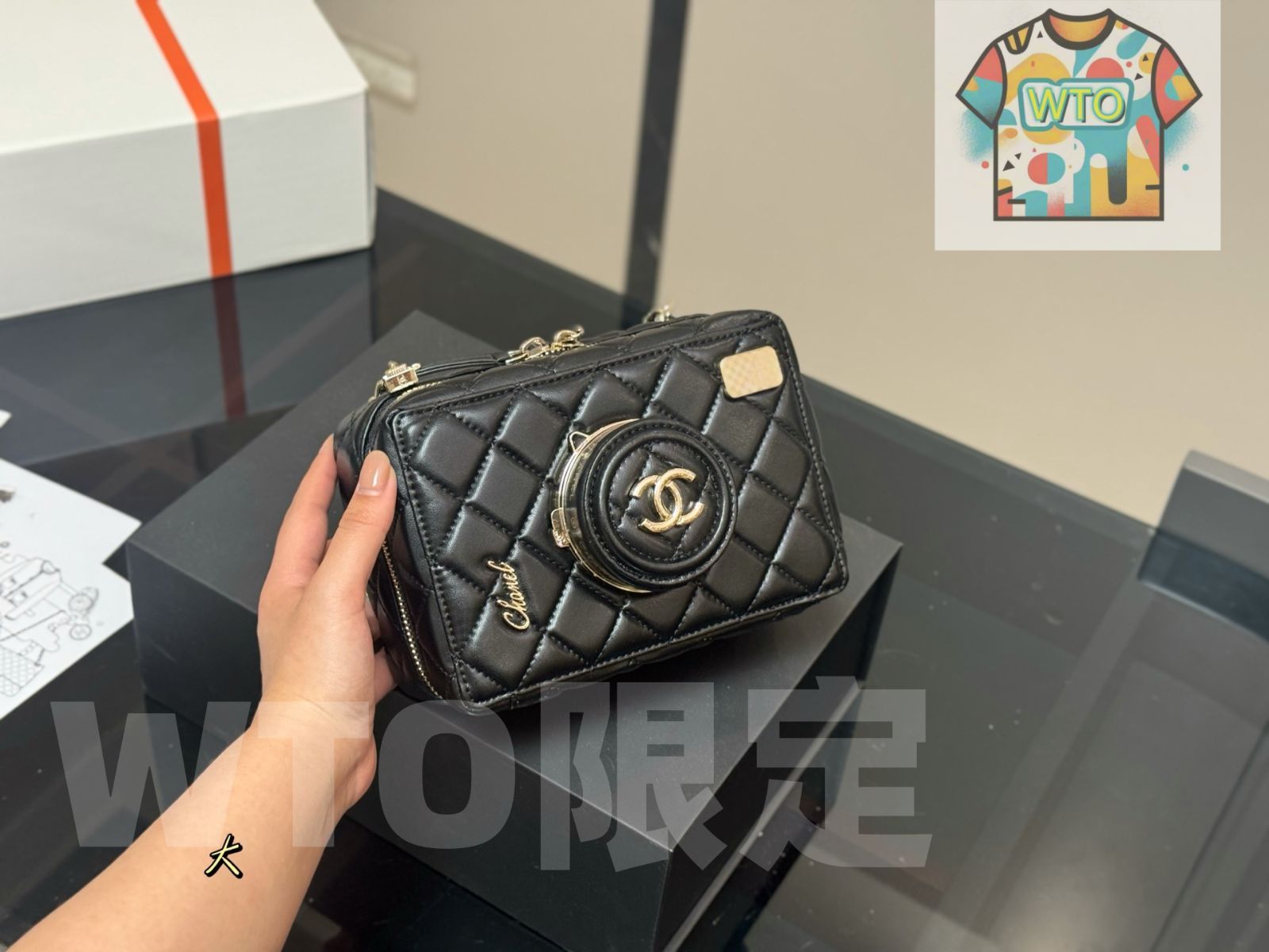 今日 Chanel シャネル カメラバッグ新シリーズ 季節の 搭載