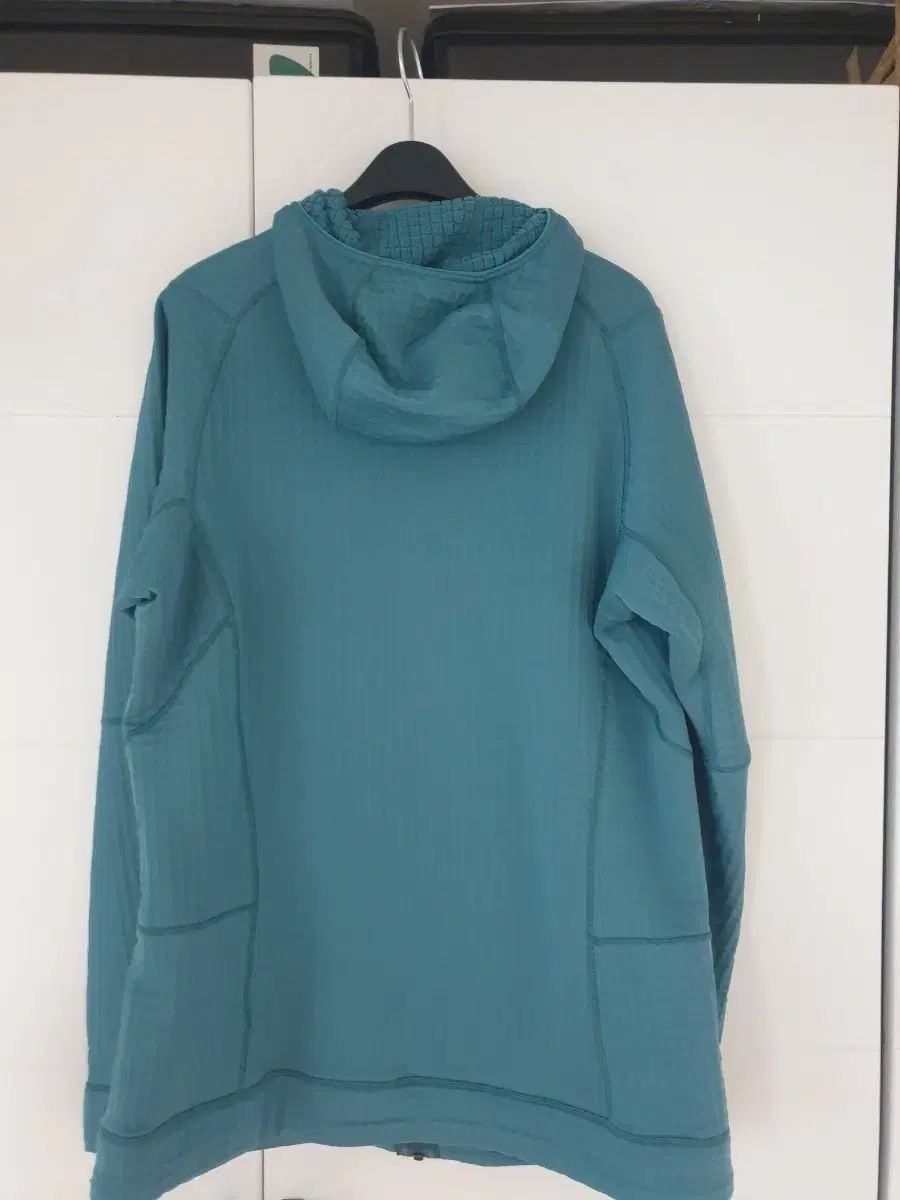 パタゴニア R1フルジップアップフーディ ウィメンズ L