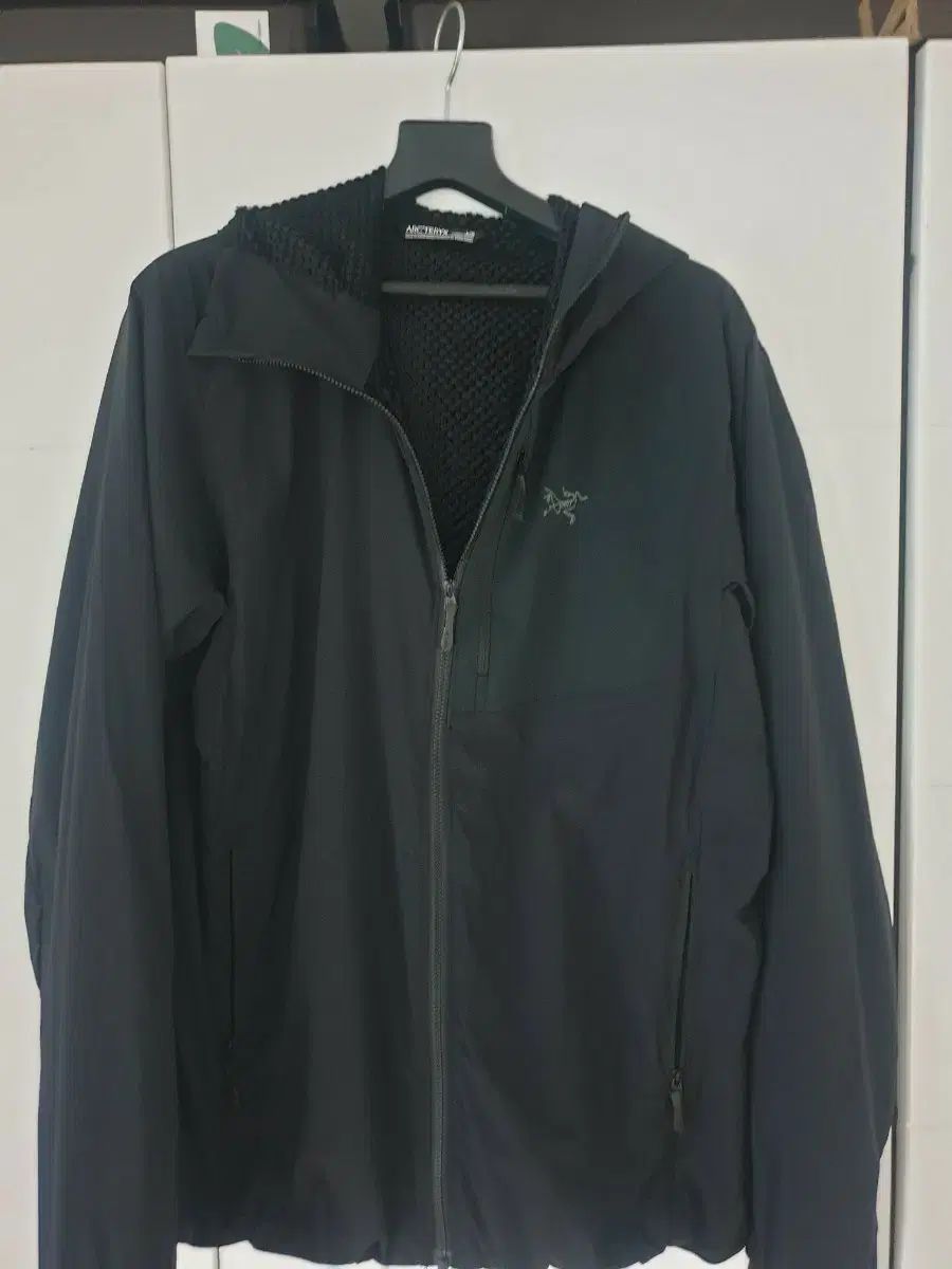 アークテリクス プロトンFL ウィメンズ