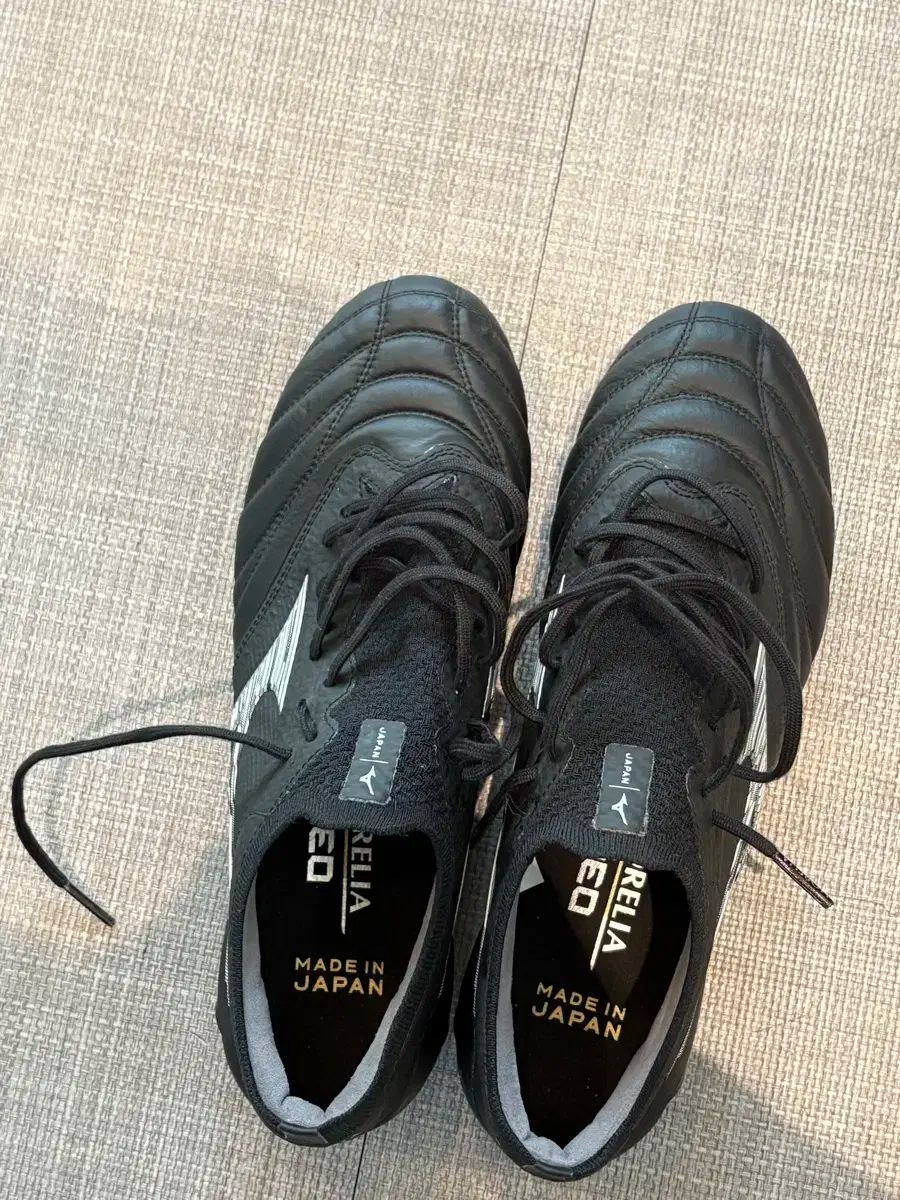 モレリア NEO ベータ ジャパン 255