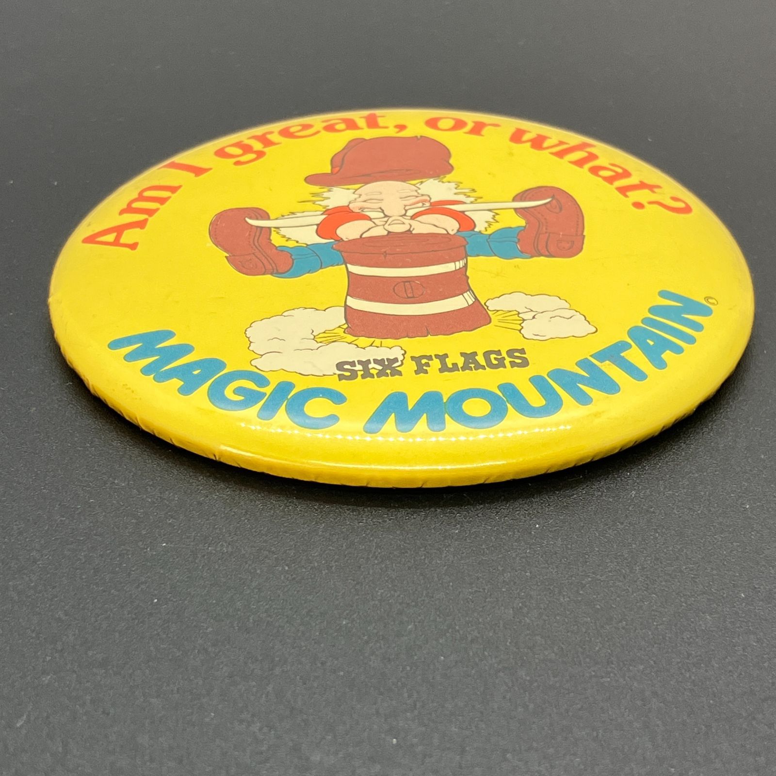 缶バッジ アメリカ 輸入 雑貨 ビンテージ 『 シックスフラッグス