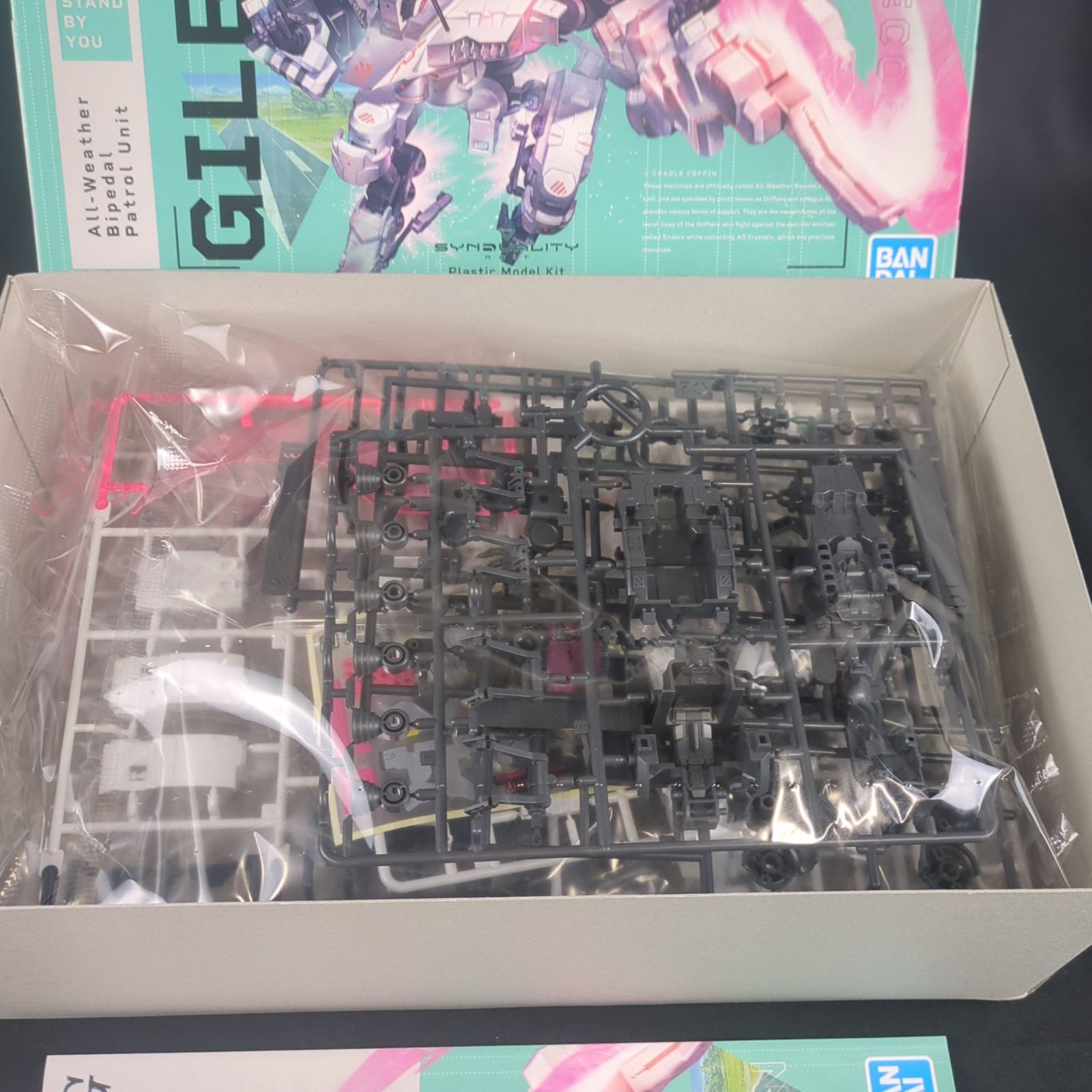 シンデュアリティ HG