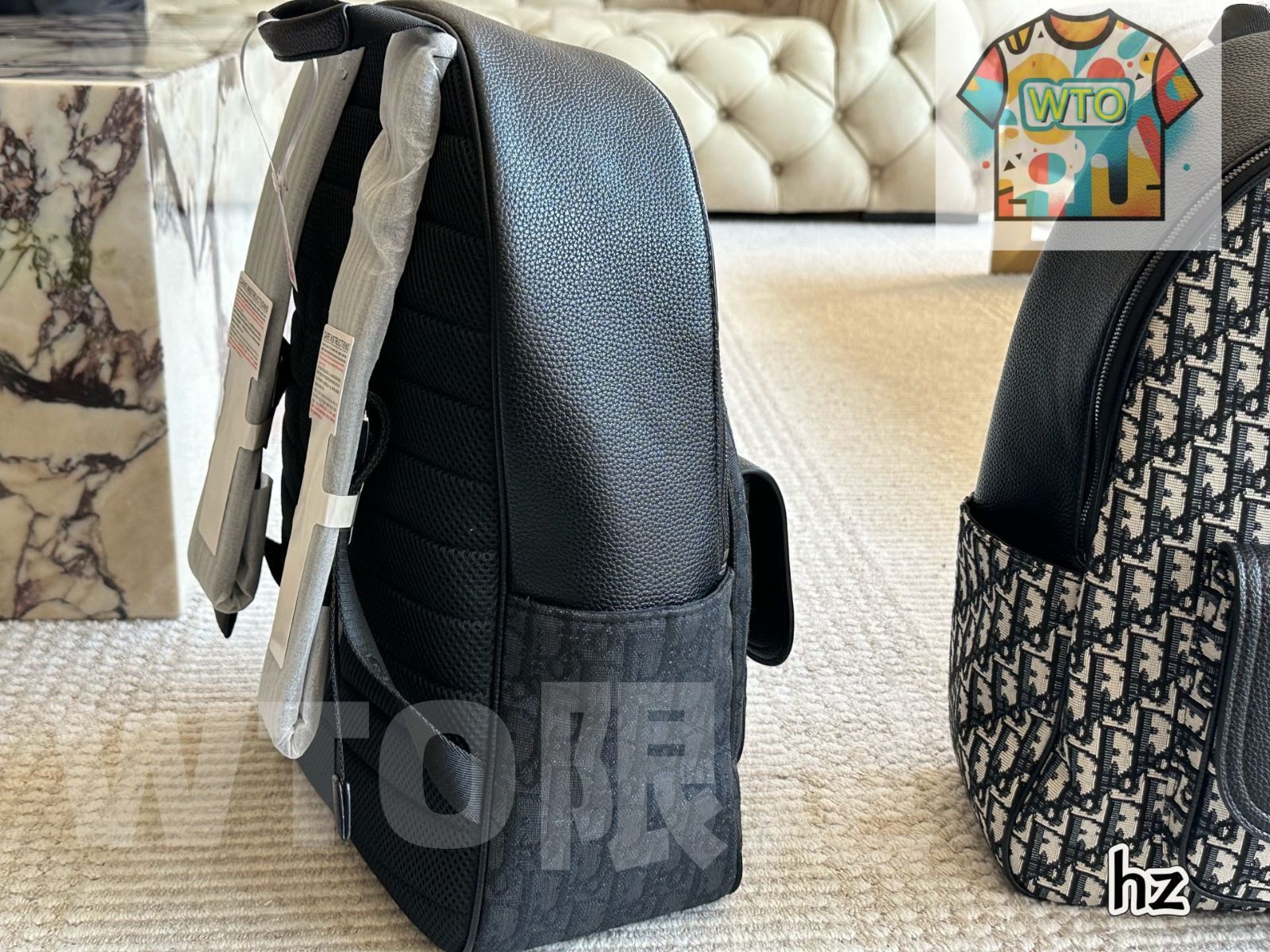 Backpack ～ディオール