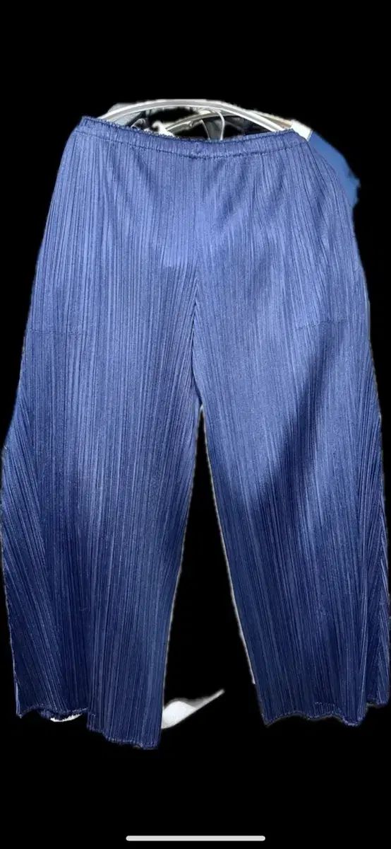 イッセイミヤケ プリーツ ズボン ダークブルー