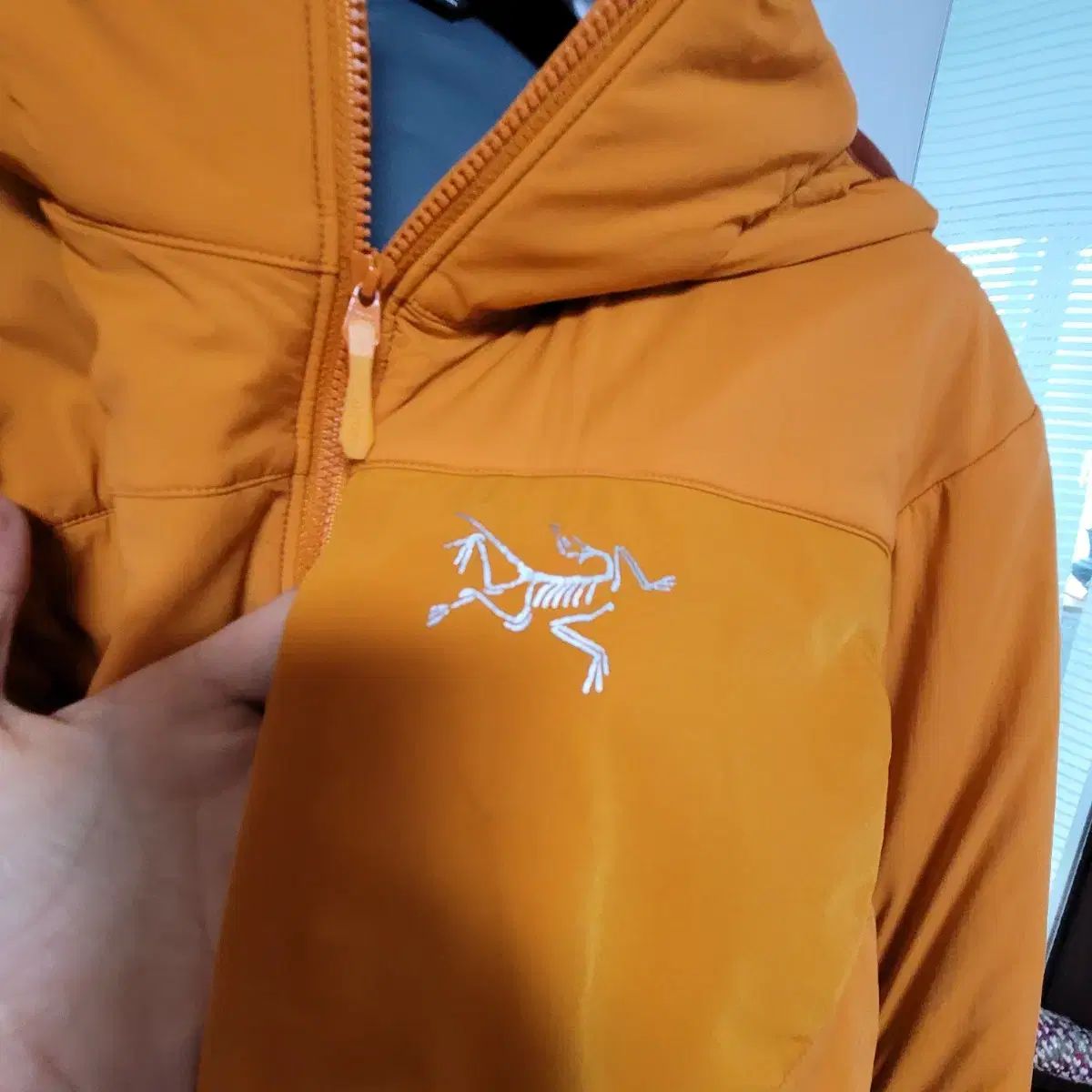 プロトンlt メンズ