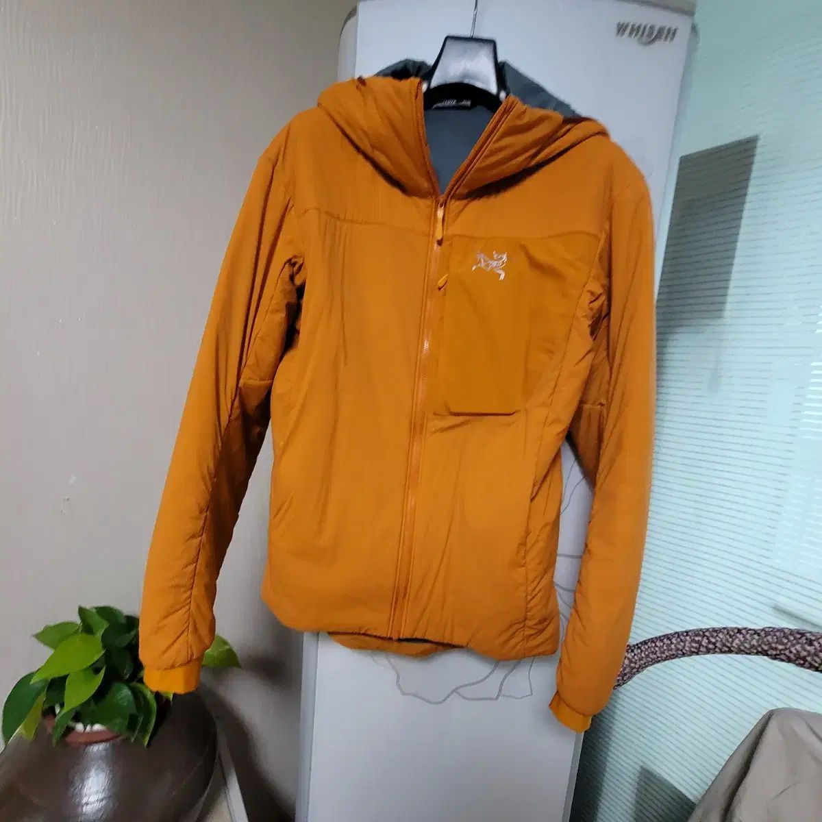 プロトンlt メンズ