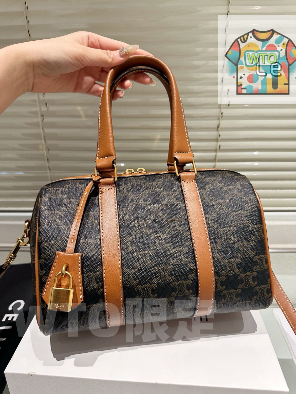 WTO通販 Celine セリーヌ ピローバッグ ファッショナブルでクラシック-WTO輸入-RKQ12 GINKGOPHARMACY_COM