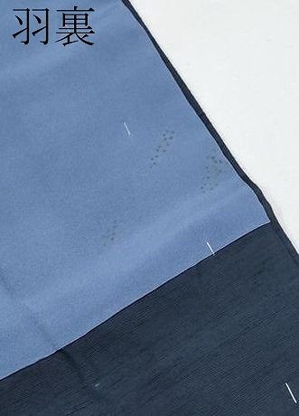 色無地 青褐色地