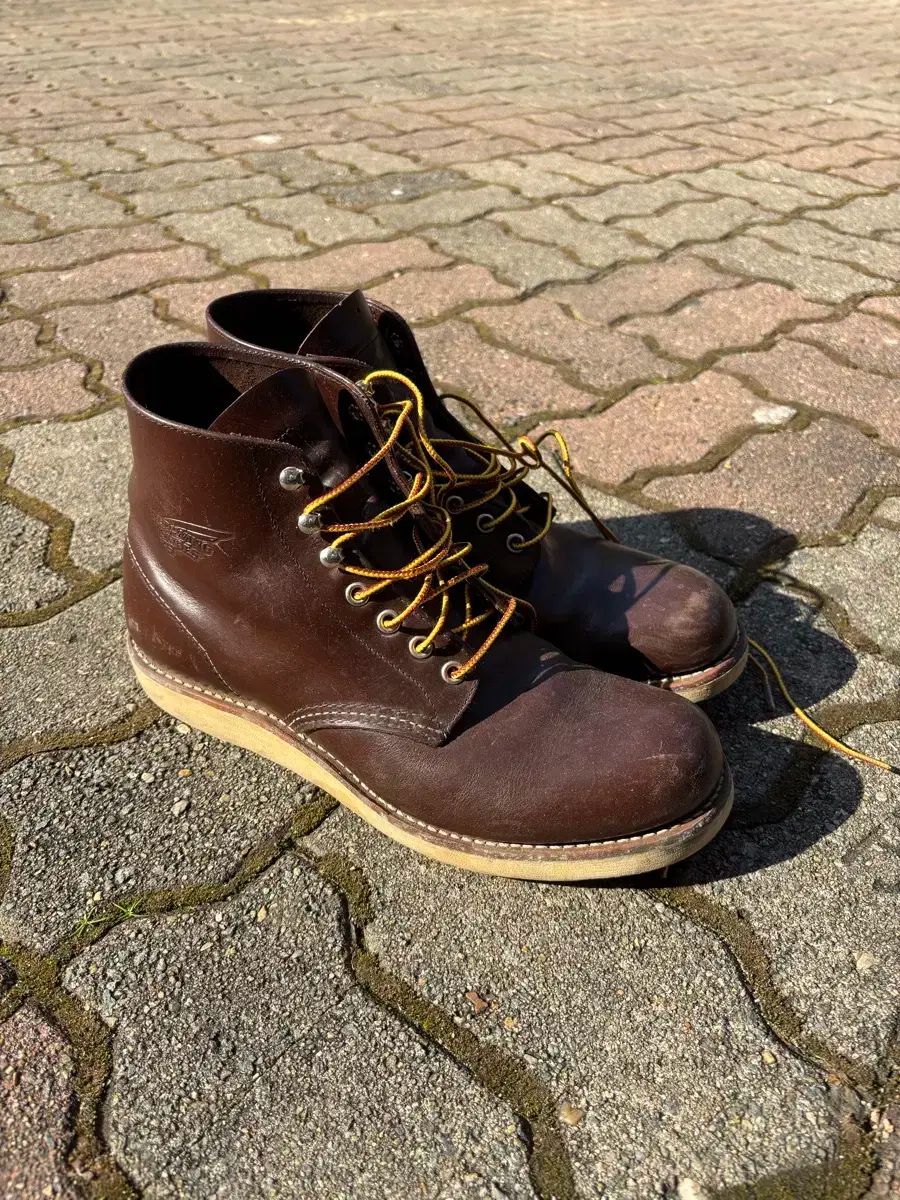 レッドウィング 8134 サイズ 275