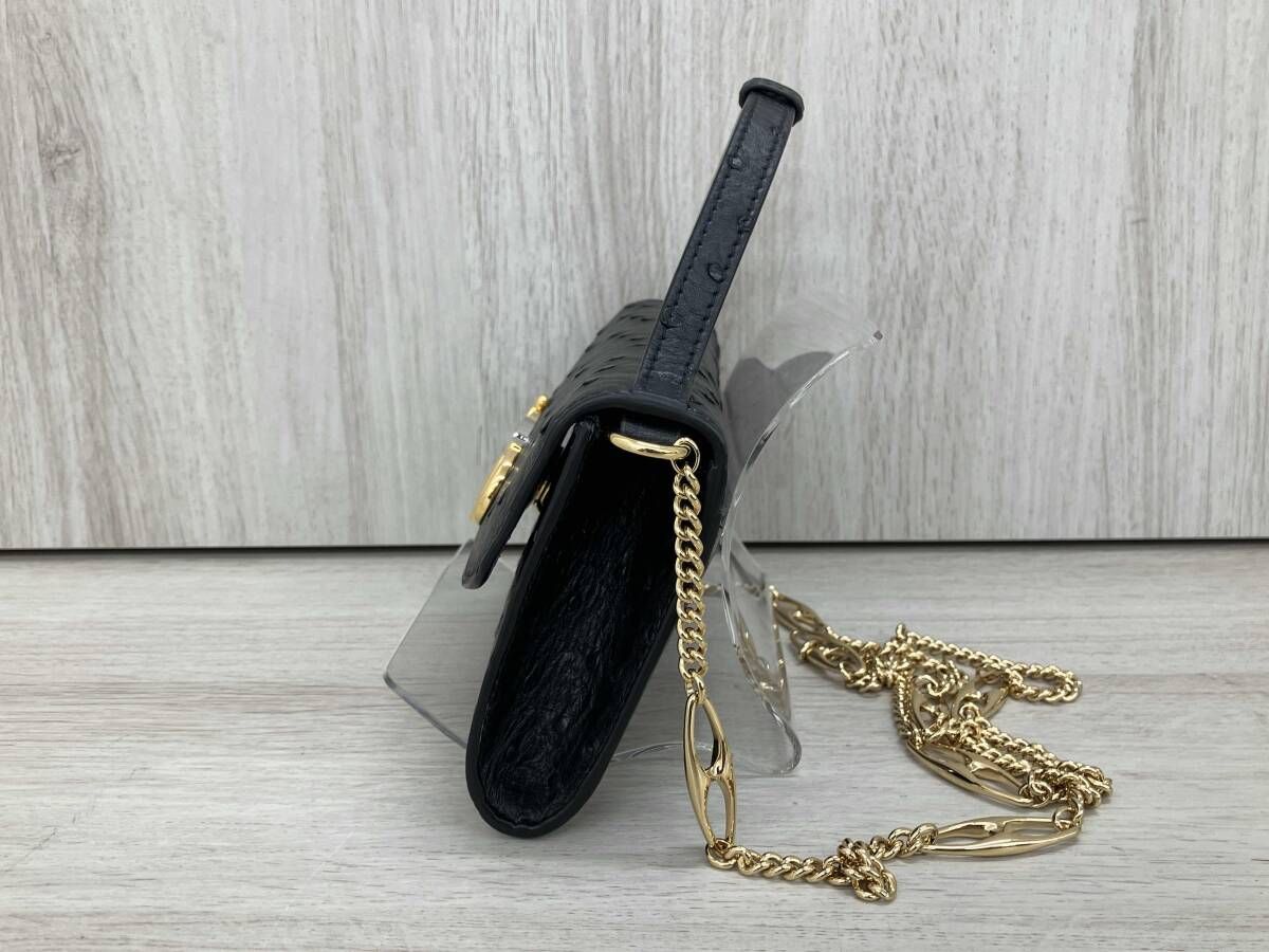 GUCCI ホースビット 607410・525040 ズゥミ ショルダーバッグ グッチ ブラック チェーンショルダー 黒 鑑定書