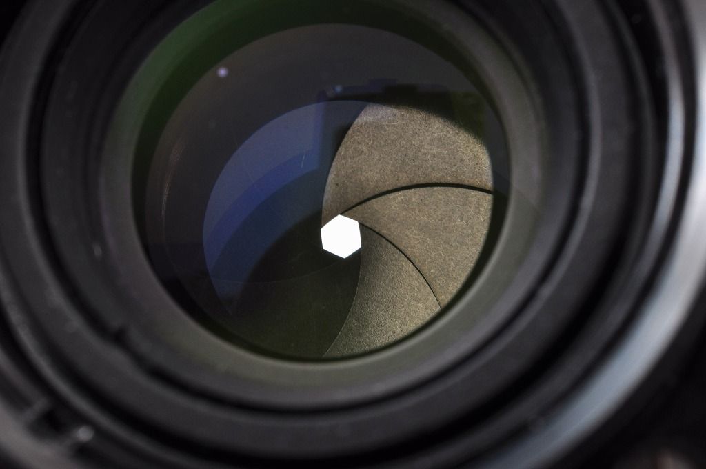 オリーブグリーン 35