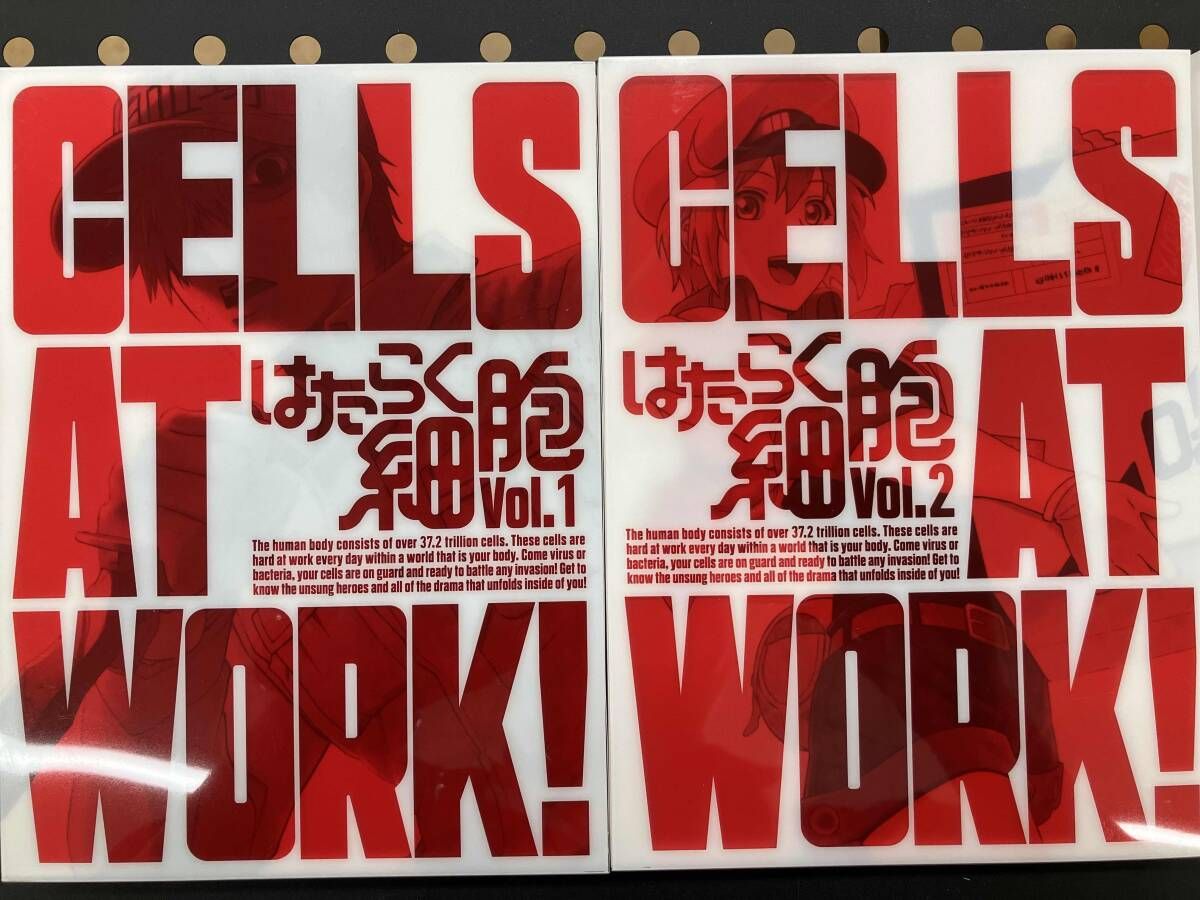 DVD 全7巻セット はたらく細胞 1 7 完全生産 版