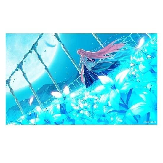 PS 4 月姫 A piece of blue glass moon 初回 版 同梱物 武内崇描き下ろし特装化粧箱 設定資料集 PlayStation